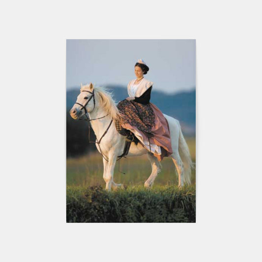 Carte Postale : "Reine d'Arles en amazone sur un Cheval Camargue" de Gilles MARTIN-RAGET