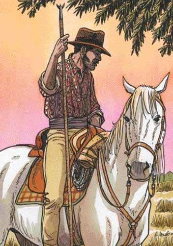 Carte Postale 12x17FL001 de Fabien LACAF