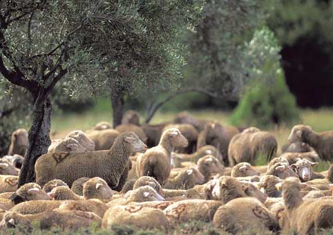 Carte Postale 12x17GMR064 de Gilles MARTIN-RAGET