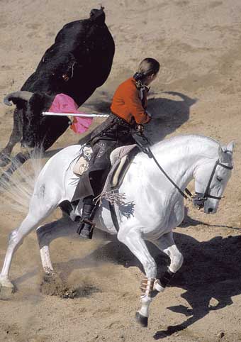 Carte Postale 12x17GMR067 de Gilles MARTIN-RAGET