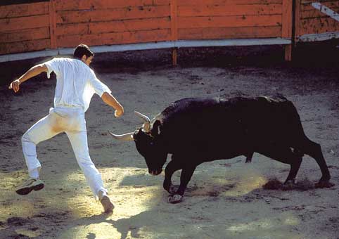 Carte Postale 12x17GMR071 de Gilles MARTIN-RAGET