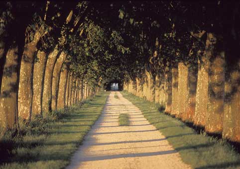 Carte Postale 12x17GMR072 de Gilles MARTIN-RAGET