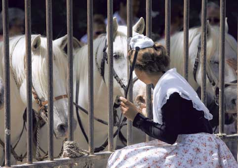 Carte Postale 12x17GMR094 de Gilles MARTIN-RAGET