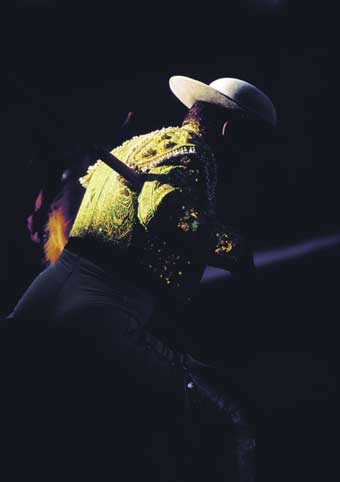 Carte Postale 12x17GMR120 de Gilles MARTIN-RAGET