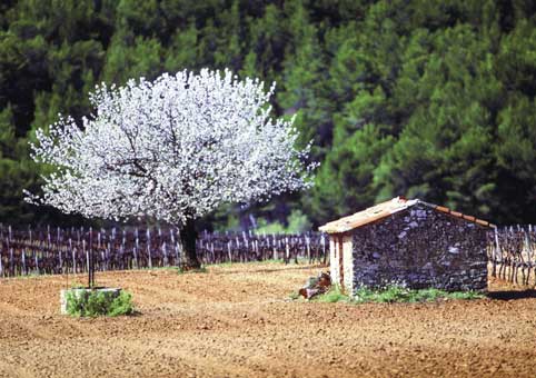 Carte Postale 12x17GMR121 de Gilles MARTIN-RAGET