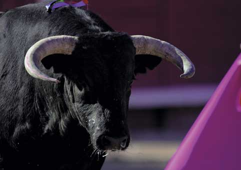 Carte Postale 12x17GMR127 de Gilles MARTIN-RAGET