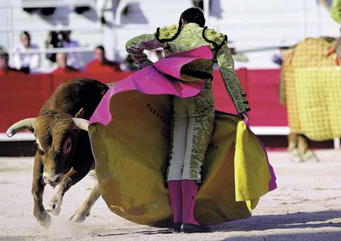 Carte Postale 12x17GMR129 de Gilles MARTIN-RAGET