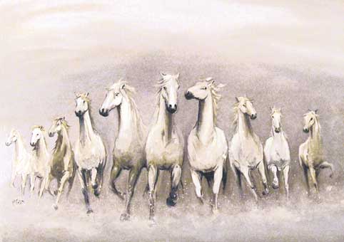 Carte Postale 12x17GP010 de Gil PIRÈS