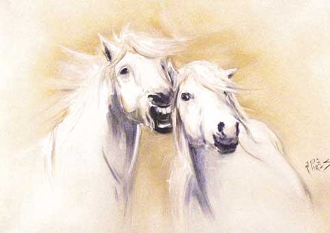 Carte Postale 12x17GP013 de Gil PIRÈS