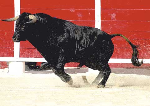 Carte Postale 12x17JLA003 de Jean-Louis AUBERT