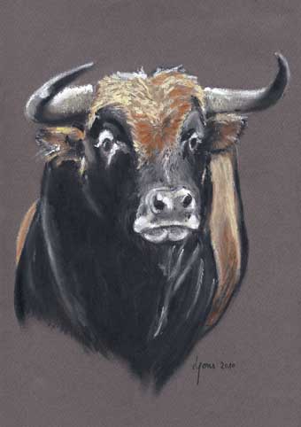 Carte Postale 12x17LP001 de Loïc PONS