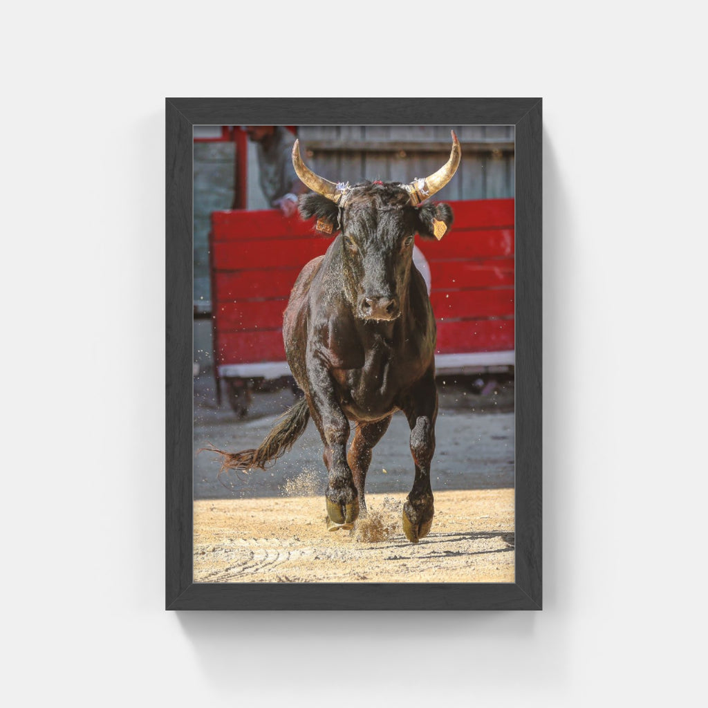 Carte Postale 12x17VN014 de Valicamargue