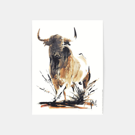 Carte Postale : "Toro Bravo" de Tom GARCIA