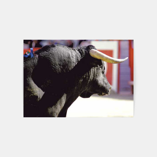 Carte Postale : "El Toro" de Jean-Louis AUBERT