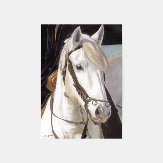 Carte Postale : "Tête de Cheval Camargue" de Danielle RASPINI