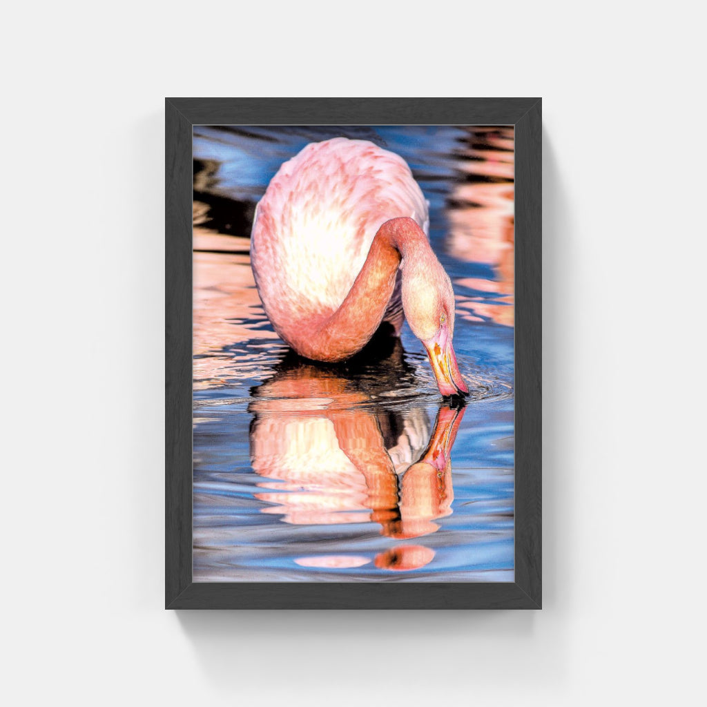 Carte Postale 12x17VN024 de Valicamargue