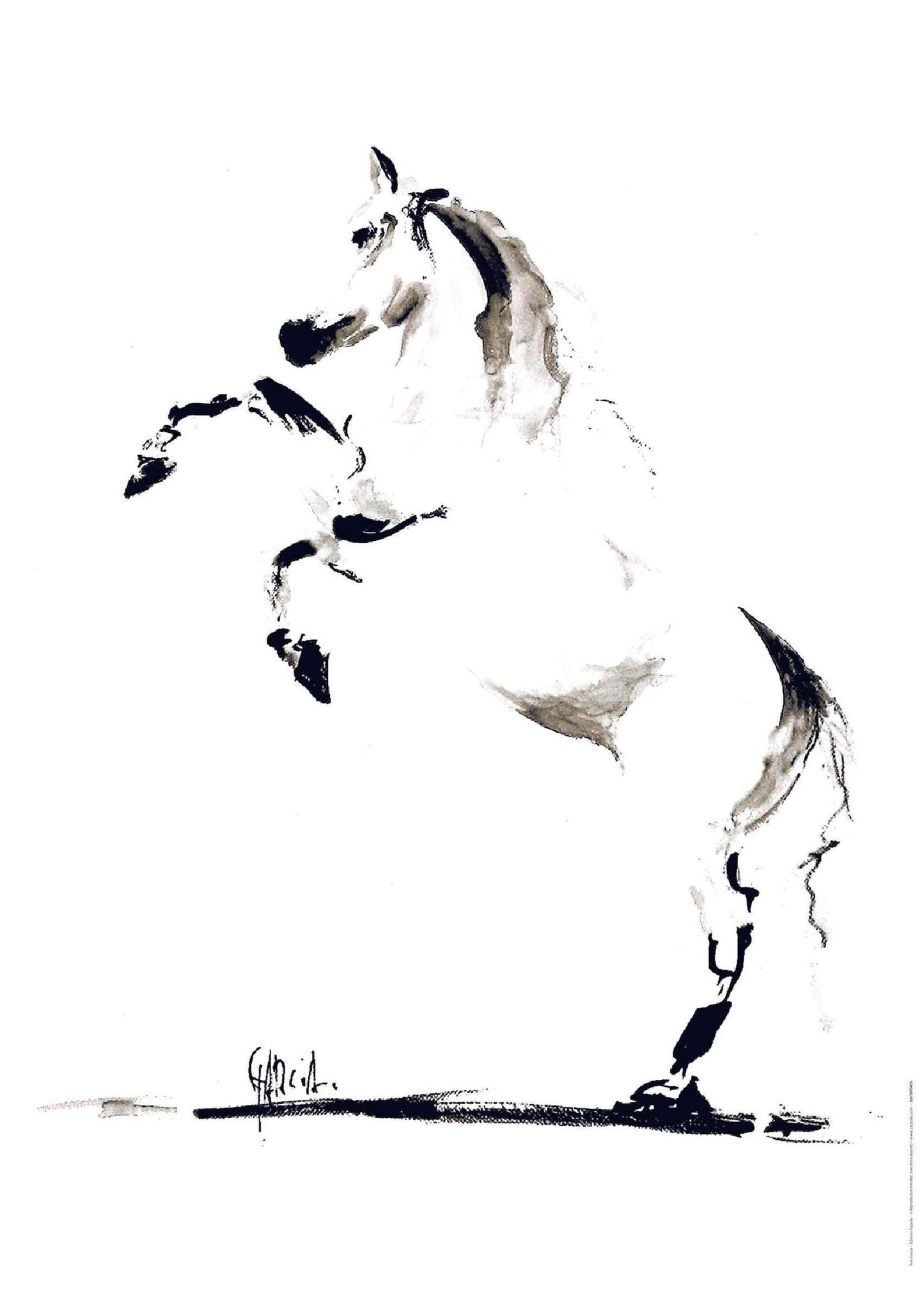Affiche "Cheval” de Tom GARCIA