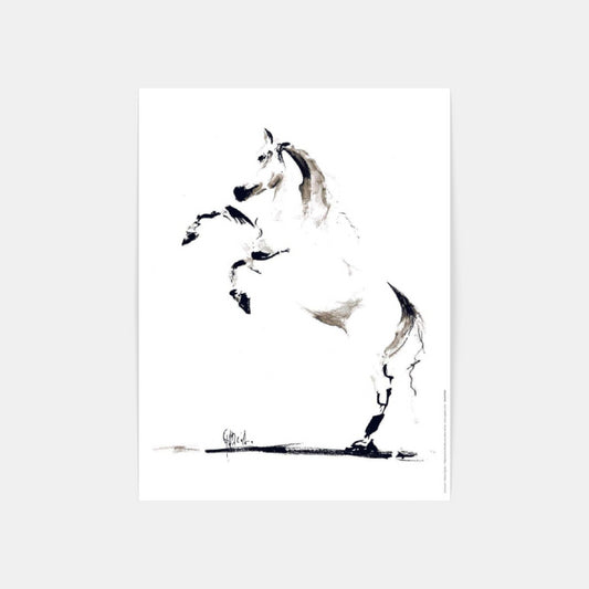 Carte Postale : "Cheval” de Tom GARCIA