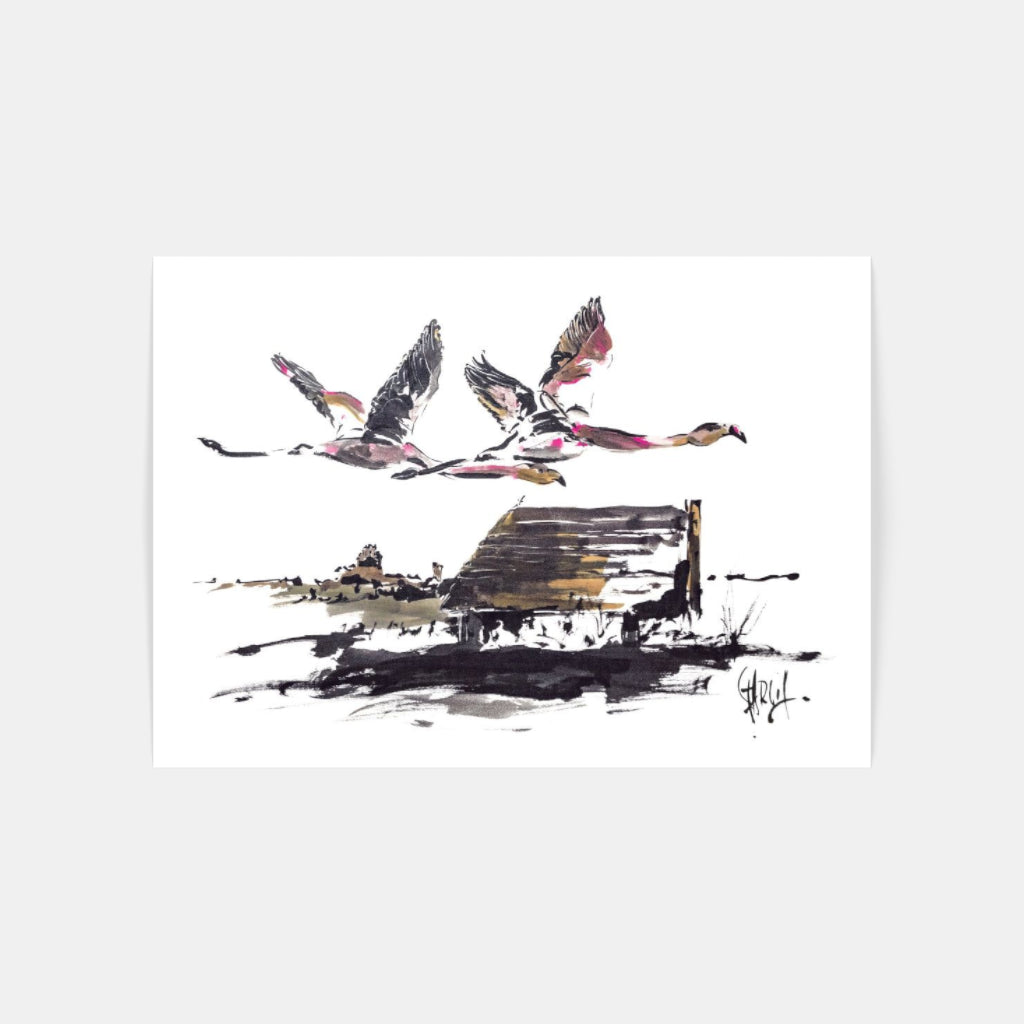 Carte Postale 12x17TG014 de Tom GARCIA