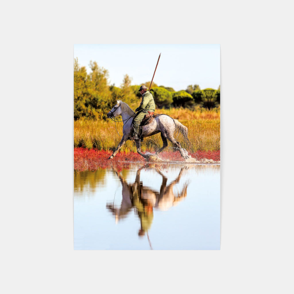Carte Postale 12x17VN023 de Valicamargue
