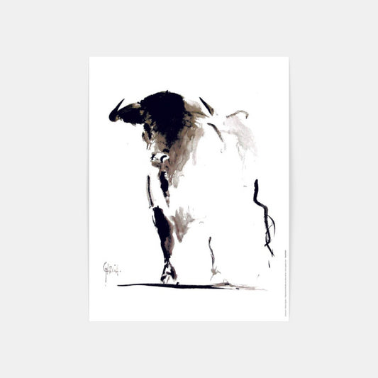 Carte Postale : "Toro" de Tom GARCIA