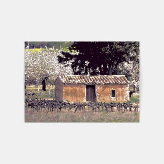 Carte Postale : "Bergerie au milieu des vignes de Provence" de Gilles MARTIN-RAGET