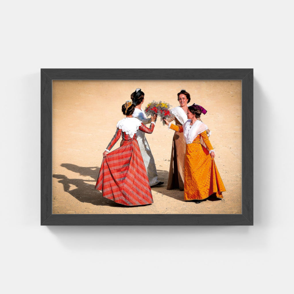 Carte Postale 12x17VN042 de Valicamargue