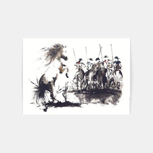 Carte Postale : "Bandido" de Tom GARCIA