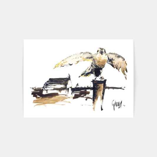 Carte Postale 12x17TG012 de Tom GARCIA