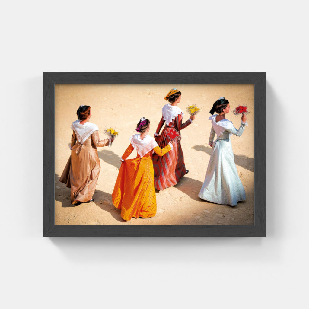 Carte Postale 12x17VN043 de Valicamargue