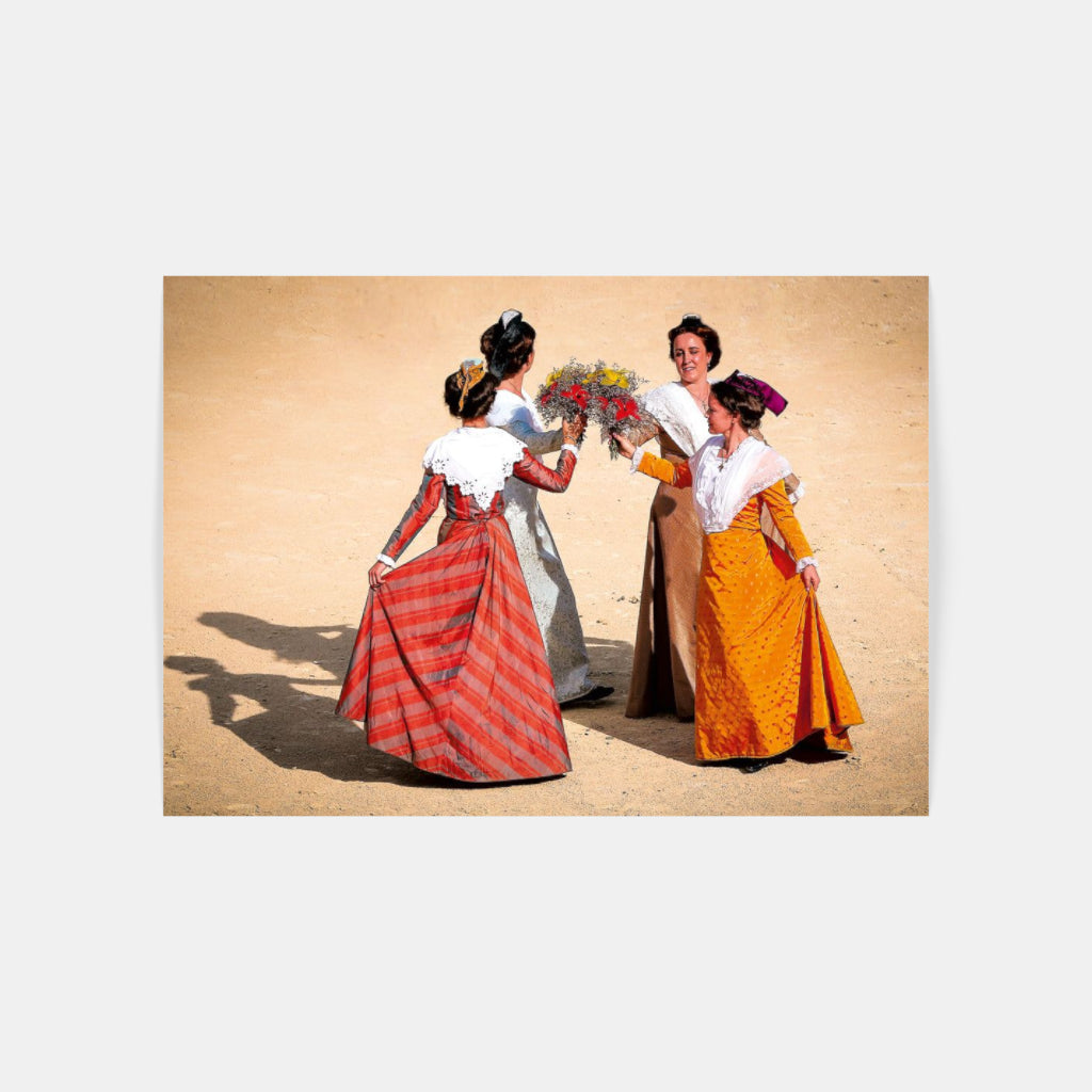 Carte Postale 12x17VN042 de Valicamargue