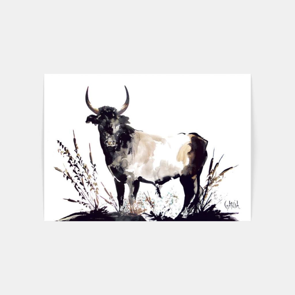 Carte Postale 12x17TG006 de Tom GARCIA