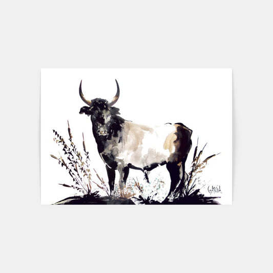 Carte Postale 12x17TG006 de Tom GARCIA