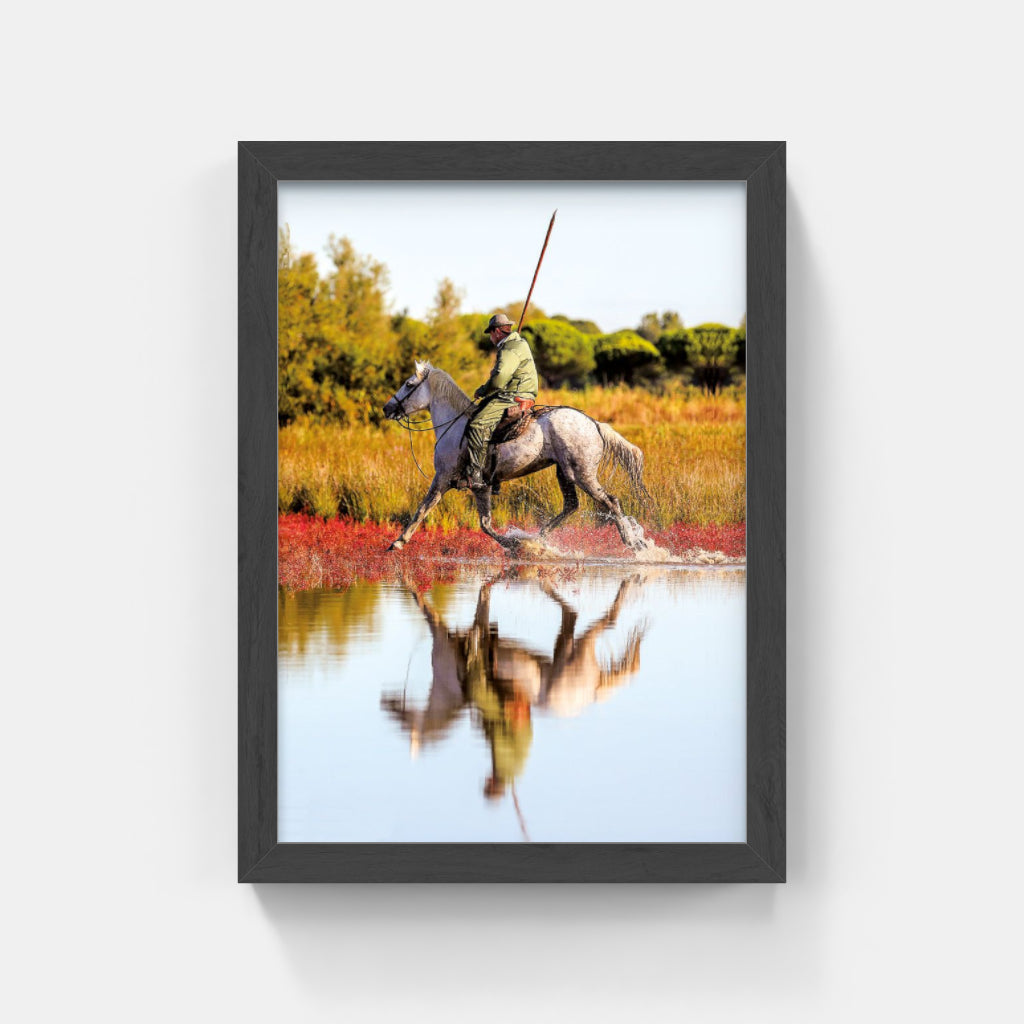 Carte Postale 12x17VN023 de Valicamargue