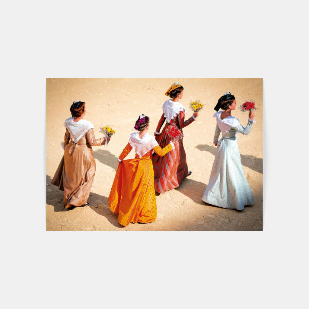 Carte Postale 12x17VN043 de Valicamargue