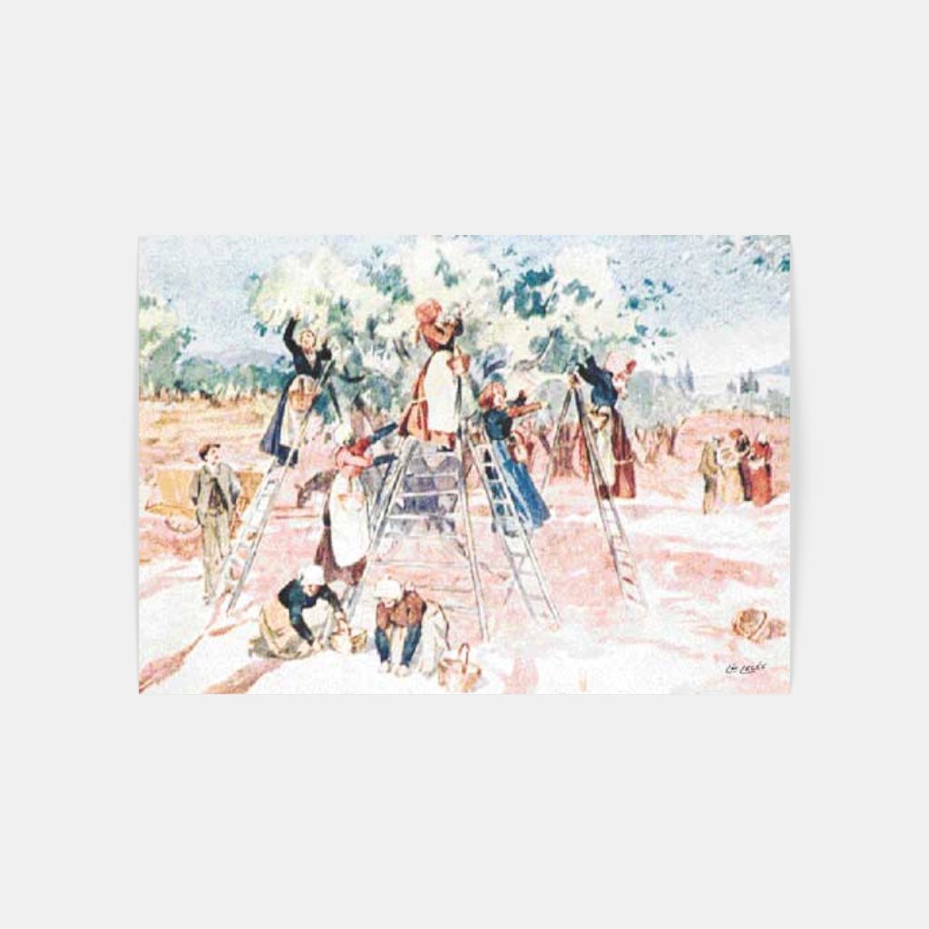 Carte Postale 12x17LL099 de Léo LELÉE