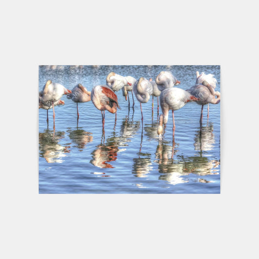 Carte Postale : "Flamants roses en Camargue" de VALICAMARGUE
