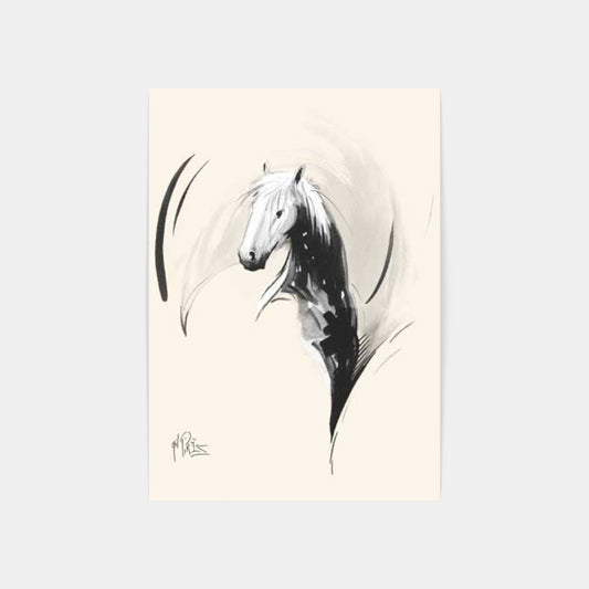 Carte Postale : "Star de Camargue" de Gil PIRÈS