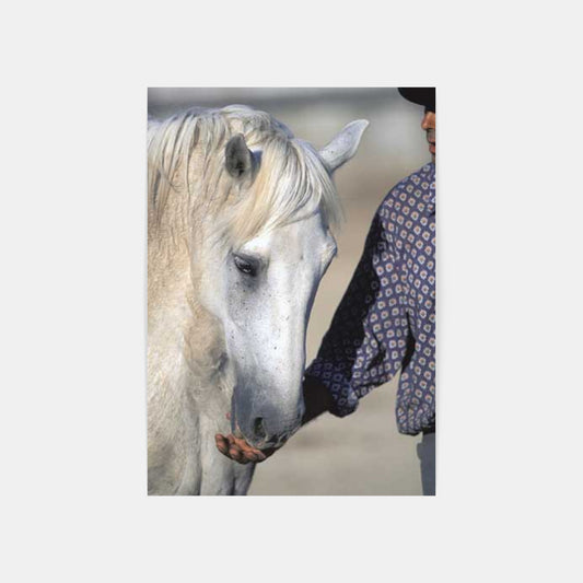 Carte Postale : "Gardian et son Cheval Camargue" de Gilles MARTIN-RAGET