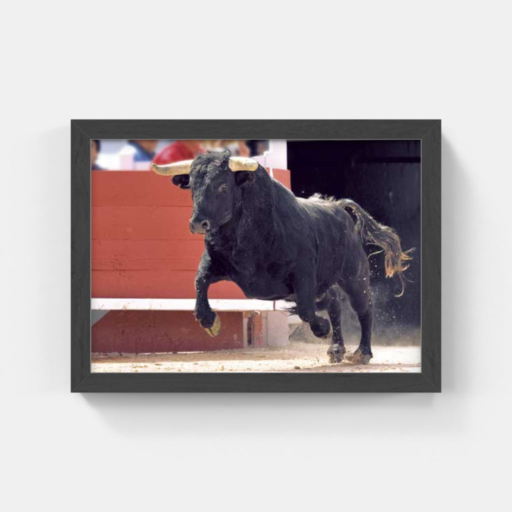 Carte Postale : "La Sortie du Toro" de Gilles MARTIN-RAGET