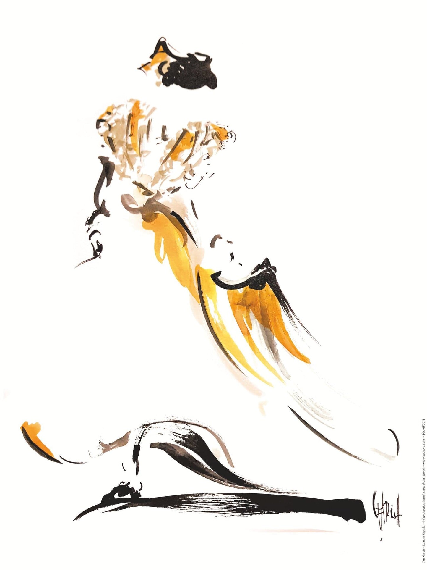 Affiche "Arlésienne à la robe flamboyante" de Tom GARCIA