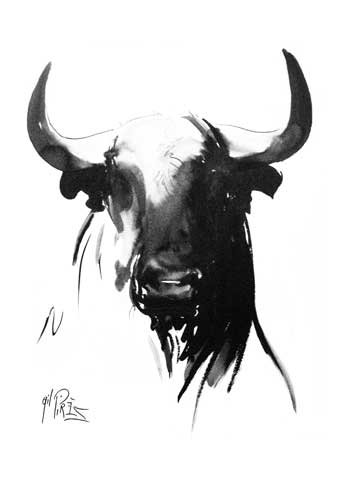 Carte Postale d'Art : "Cabessa de Toro Blanco y Negro"