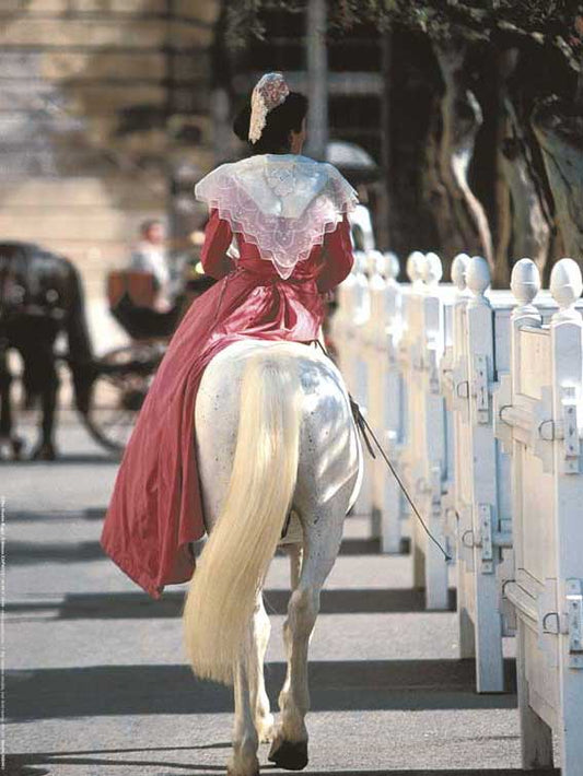 Photographie d'Art : "Arlésienne en robe fuchsia en amazone sur un cheval Camargue"