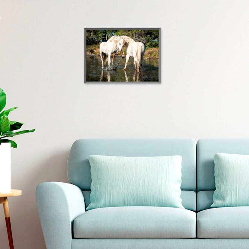 Affiche : "Chevaux Camargue amoureux" de VALICAMARGUE