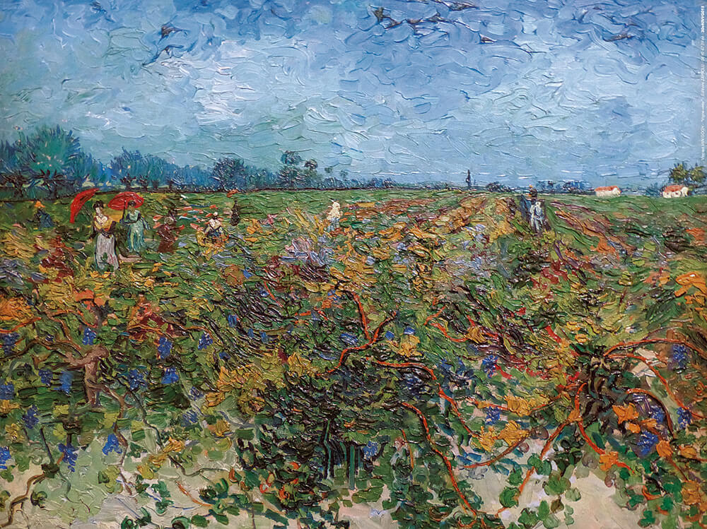 Affiche "Vigne verte" de Vincent VAN GOGH