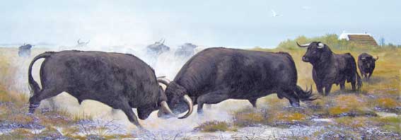 Affiche "Combat de Toros espagnols en Camargue" de Jean MARIGNAN