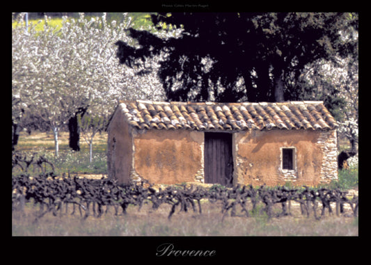 Photographie d'Art : "Bergerie au milieu des vignes de Provence"