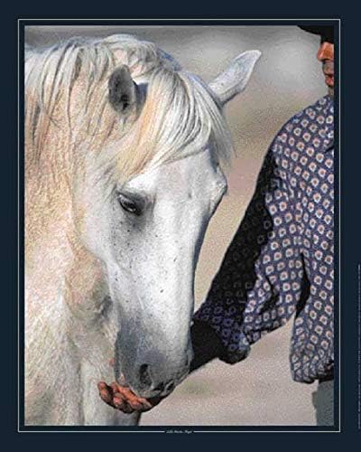 Affiche : "Gardian et son Cheval Camargue" de Gilles MARTIN-RAGET