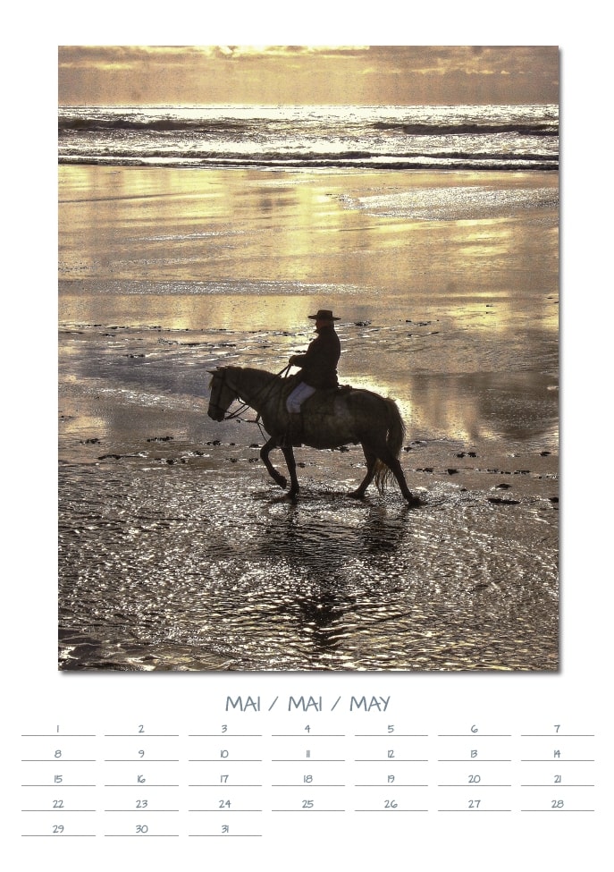 Calendrier perpétuel de Camargue de VALICAMARGUE