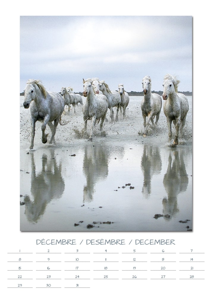 Calendrier perpétuel de Camargue de VALICAMARGUE